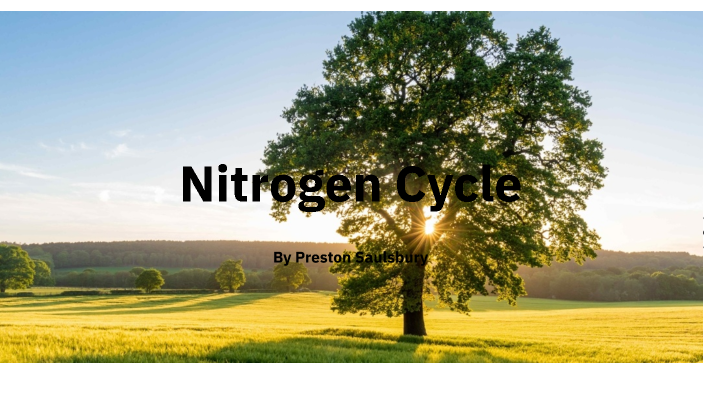 Nitrogen Cycle by preston saulsbury on Prezi