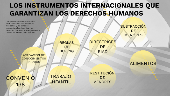 LOS INSTRUMENTOS INTERNACIONALES QUE GARANTIZAN LOS DERECHOS HUMANOS by ...