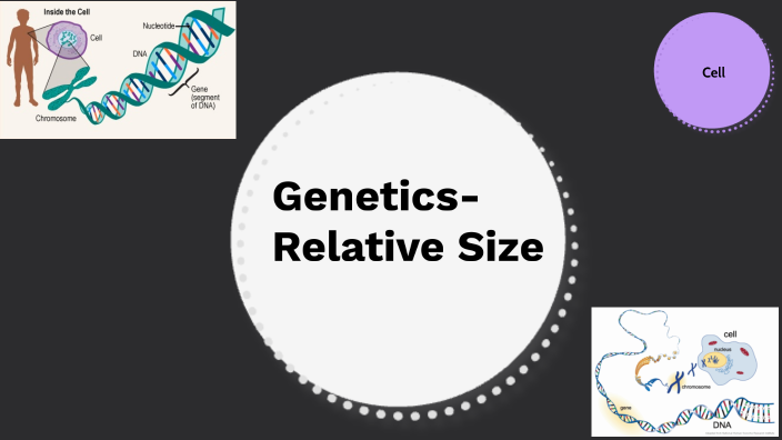 What Is Relative Size In Chemistry