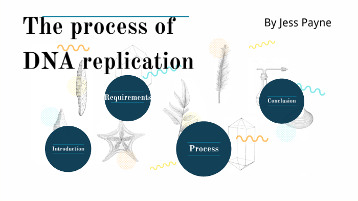 The process of DNA replication by Jess Payne on Prezi