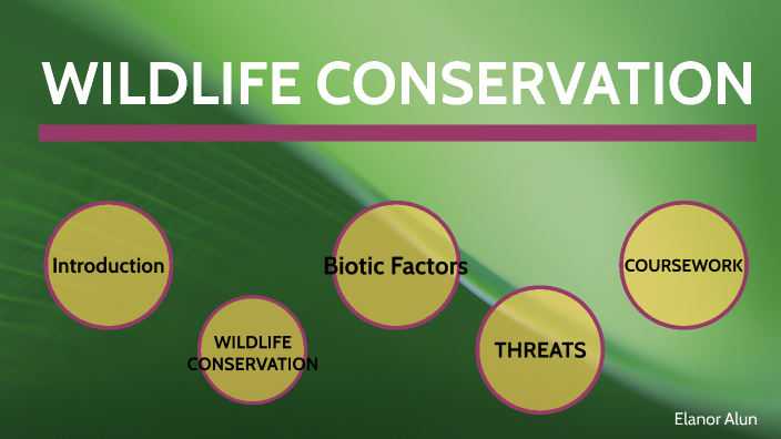 Wildlife Conservation - Intro by Elanor Alun on Prezi