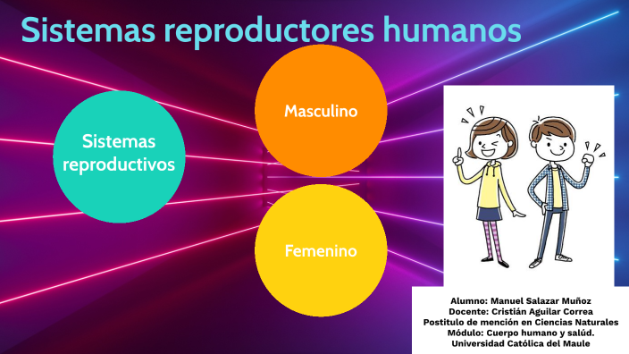 Sistemas reproductores humanos by Manuel Salazar Muñoz on Prezi