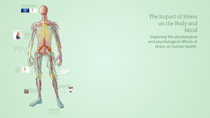 The Impact of Stress on the Body and Mind by Hailie Adriana Charmat on ...