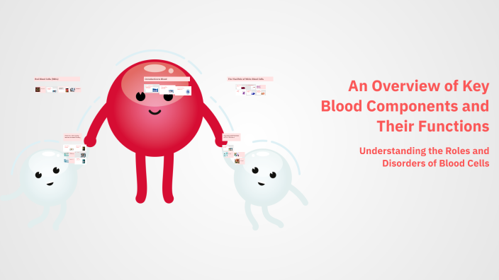 Basic Medical Key Blood An Overview of Key Blood Components and Their Functions by Christina ...