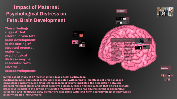 Impact of Maternal Psychological Distress on Fetal Brain Development by ...