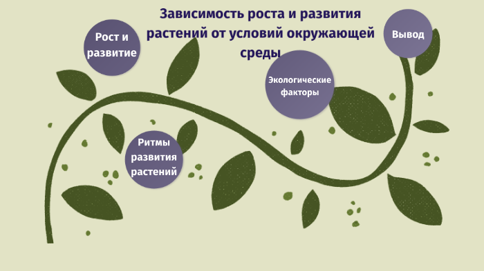 Условия роста растений 6 класс