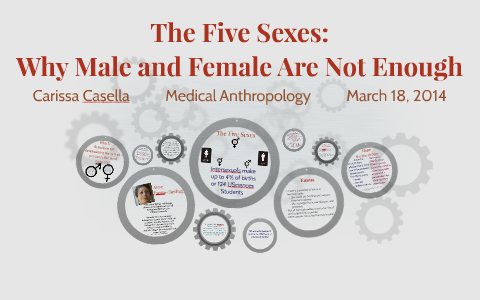 the 5 sexes