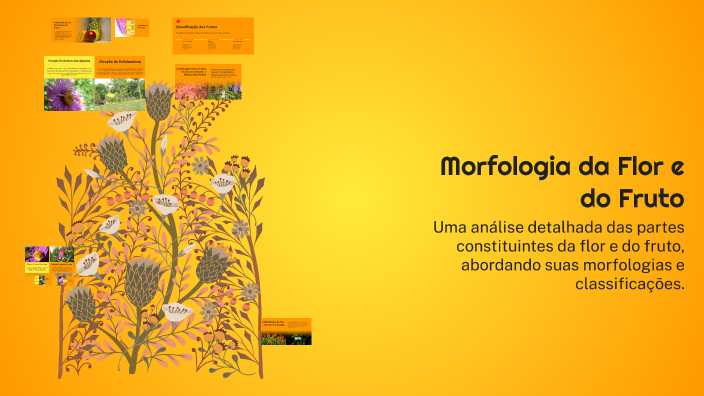 Morfologia da Flor e do Fruto by Tamirys Felix on Prezi