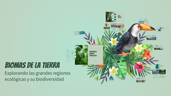 Biomas de la Tierra by Ximena Nava on Prezi