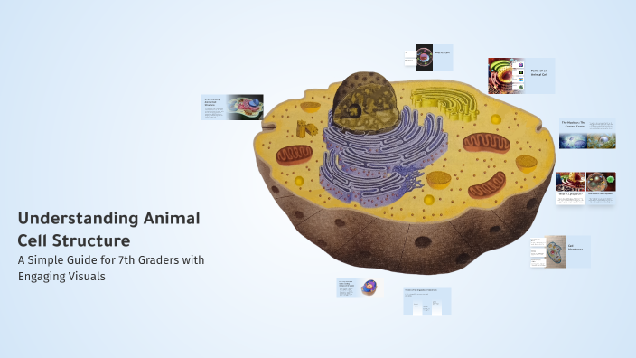 Understanding Animal Cell Structure by Faisal Abdelhaq on Prezi