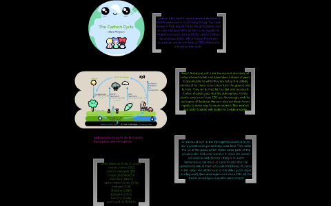 The Carbon Cycle by olivia pope on Prezi