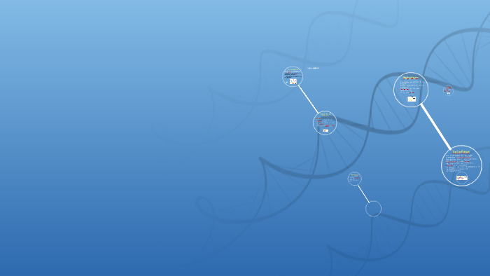 Ciclo celular by Sofía Vargas Garbanzo on Prezi