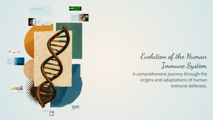 Evolution of the Human Immune System by Ian Hill on Prezi