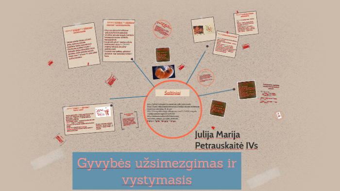 Gyvybės Uzsimezgimas Ir Vystymasis By Julija Pet