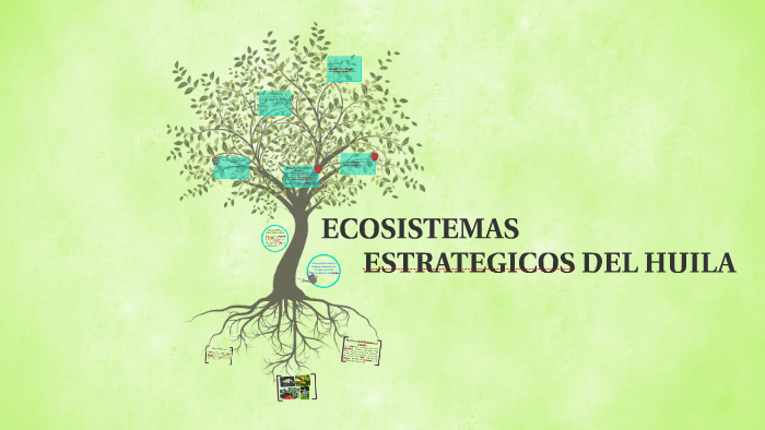 Ecosistemas Estrategicos By Jheraldin Duran On Prezi 2206