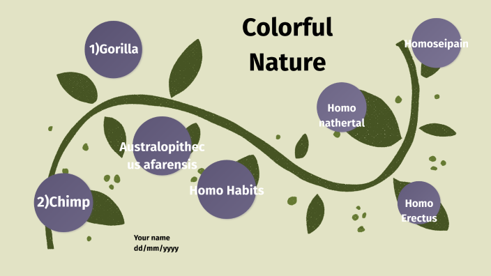 Human Evolution Project By Kevin Garcia Perez On Prezi Human Evolution Project By Kevin Garcia Perez On Prezi