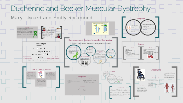 Duchenne And Becker Muscular Dystrophy By Emily Rosamond