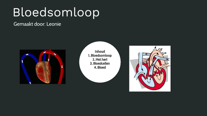 Bio bloedsomloop by Leonie koops on Prezi