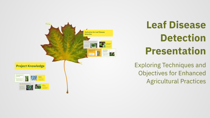 Leaf Disease Detection Presentation by Dhyanesh Parepalli on Prezi