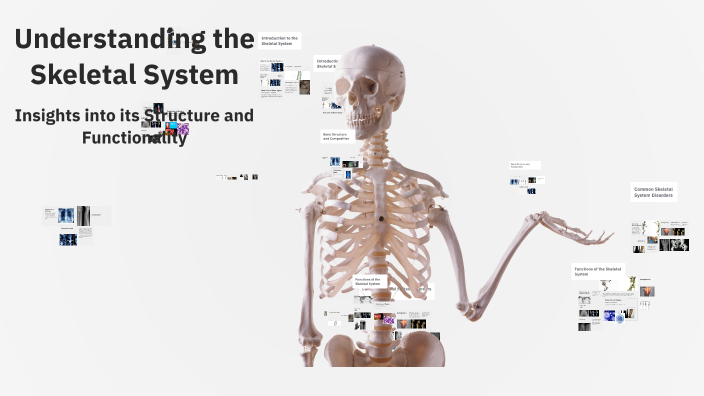Understanding the Skeletal System by Christina Wilson on Prezi