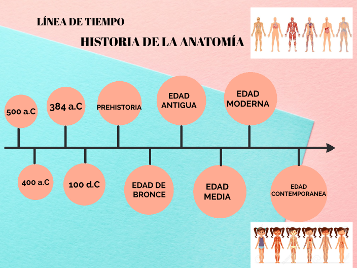 HISTORIA DE LA ANATOMIA by Kerly Pujota on Prezi