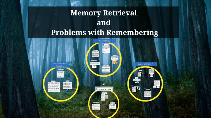 memory retrieval essays