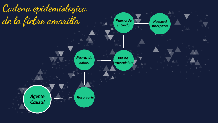 Cadena Epidemiologica De La Fiebre Amarilla By Valentina Muriel On Prezi