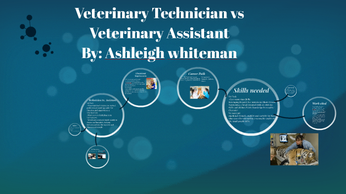 Veterinary Technician Vs Veterinary Assistant By Ashleigh Whiteman On Prezi