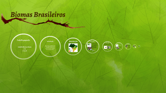 Biomas Brasileiros by Izabella Manesco on Prezi
