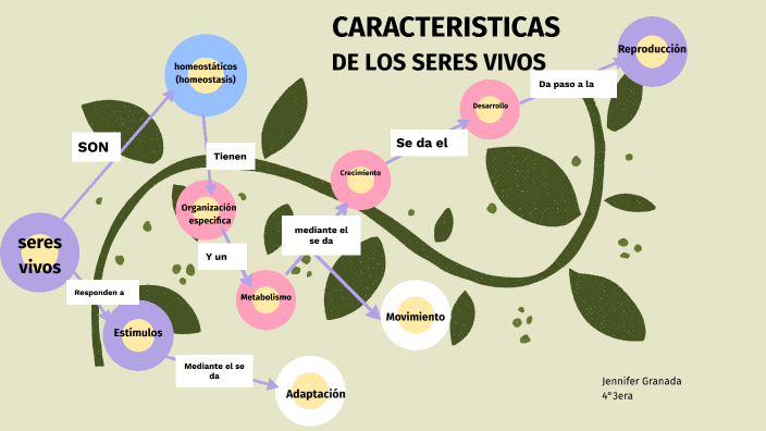 Caracterticas De Los Seres Vivos Ateneo De Cs Naturales By Jennifer 