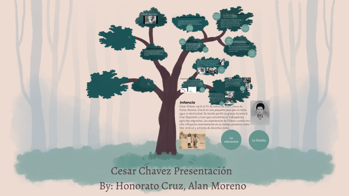 Cesar Chavez Presentation by Honorato Cruz on Prezi