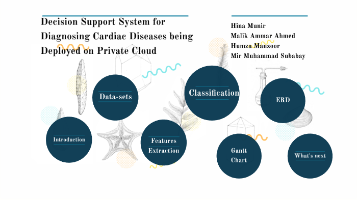 Decision Support System For Diagnosing Cardiac Diseases By Hina Munir