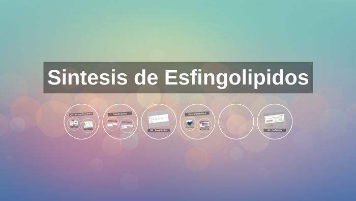 Sintesis de Esfingolipidos by hector carrion on Prezi