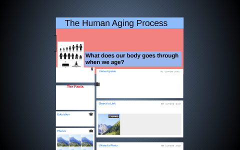 The Human Aging Process by JJ Corry on Prezi