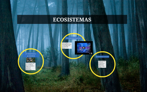 ECOSISTEMAS by martha moreno on Prezi