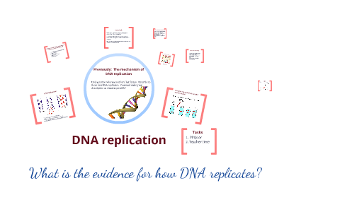 DNA replication by Julia Armstrong on Prezi