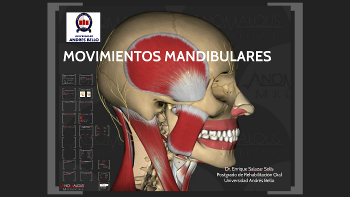 MOVIMIENTOS MANDIBULARES By Enrique Salazar On Prezi