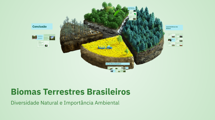 Biomas Terrestres Brasileiros by gabriel spirandeli on Prezi
