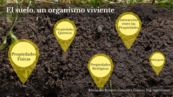 El suelo, un organismo viviente by Maria Gofran on Prezi