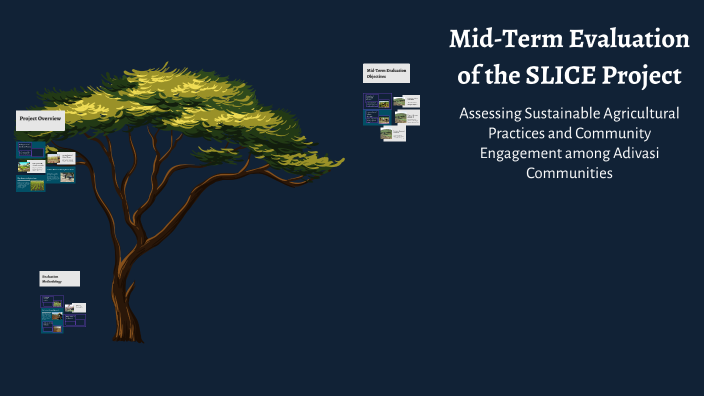 Mid-Term Evaluation of the SLICE Project by Saiju Chacko on Prezi