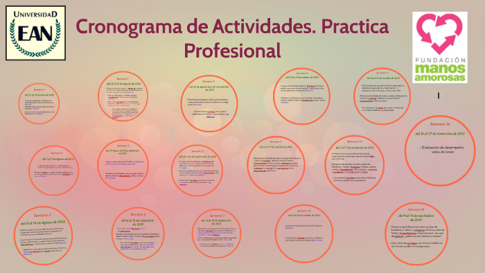 Cronograma de Actividades. Practica Profesional by Catalina Rubio