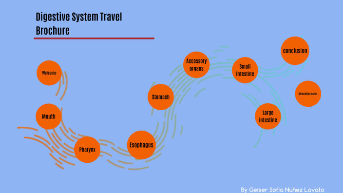create a travel brochure of the digestive system