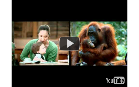Endangered Animals by on Prezi