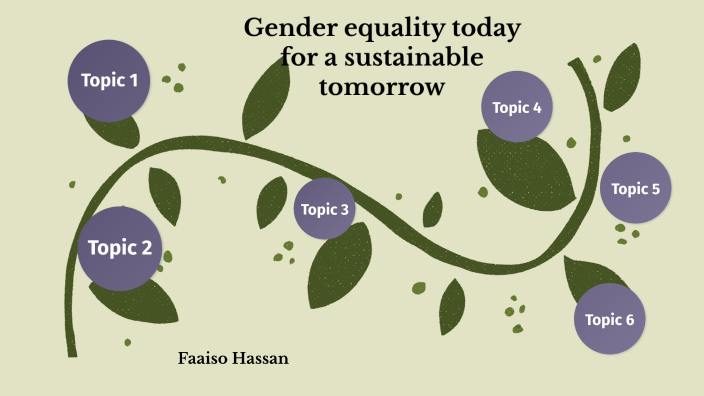 gender equality today for a sustainable tomorrow essay pdf