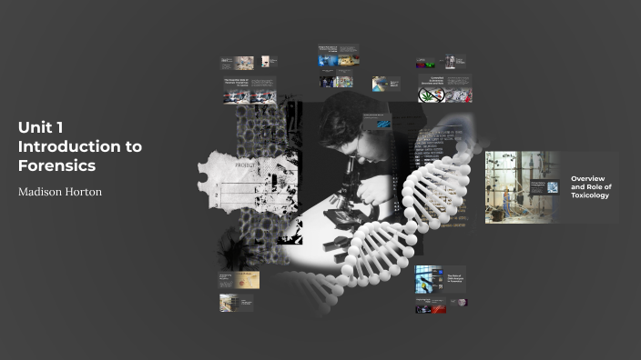 Example Forensic Reciprocal Roles Exploring Forensic Disciplines: Roles, Functions, and Responsibilities ...