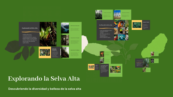 Explorando la Selva Alta by ALIZZE MENDOZA on Prezi