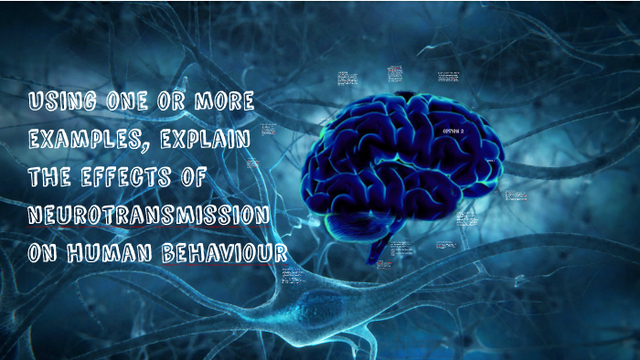 Using one or more examples, explain the effects of neurotran by Iman ...