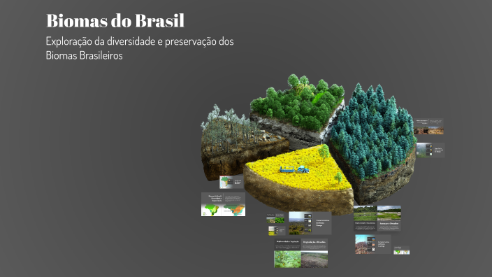 Biomas do Brasil by Allan Nobre on Prezi