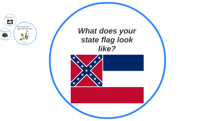 what-does-your-state-flag-look-like-by-emma-pendergrass