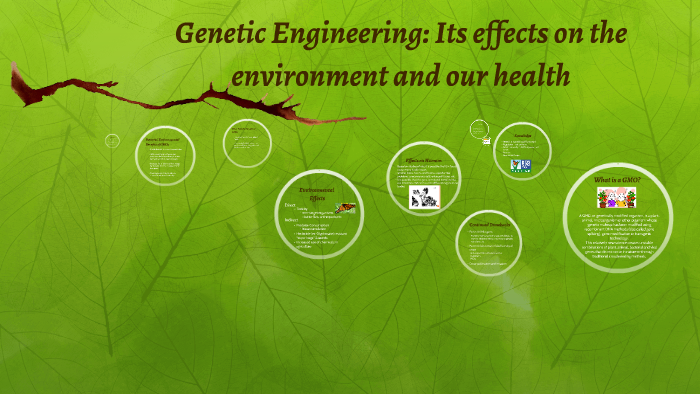 Genetic Engineering: Its effects on the environment and our by Lyndsie ...